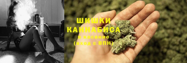 тгк Богородицк